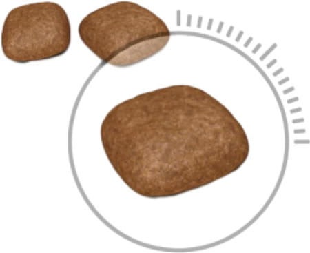 Royal Canin Urinary Care For Adult Cats | 400 Grams | Dry Food