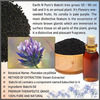 Earth N Pure Babchi Oil (15 Ml)