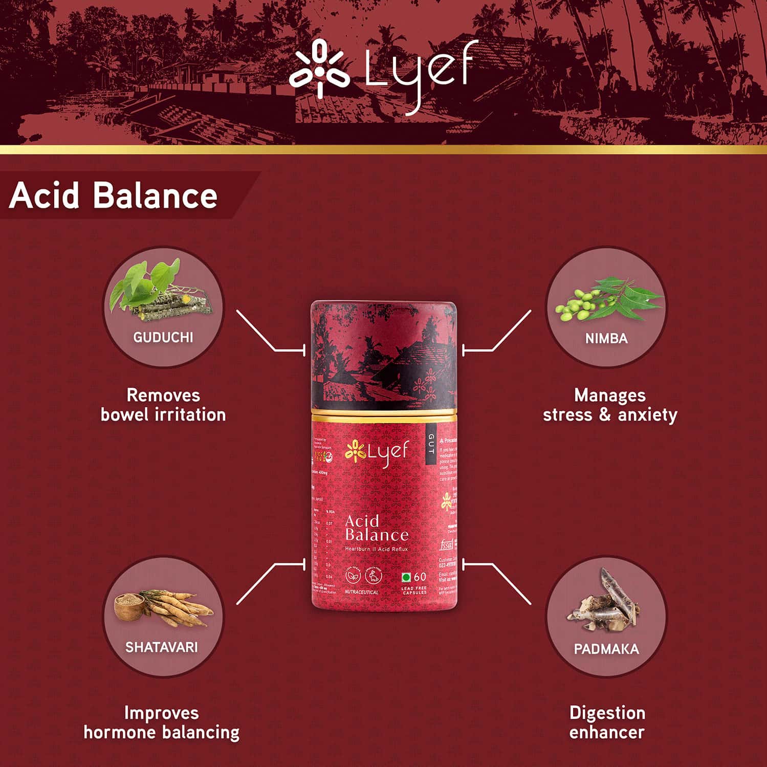 Buy LYEF ACID BALANCE ACIDITY & GAS RELIEF AYURVEDA SUPPLEMENTS