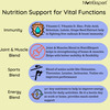 Nutriekspert Multivitamin For Women. Weight Management Immunity Fitness Performance-60 Tablets