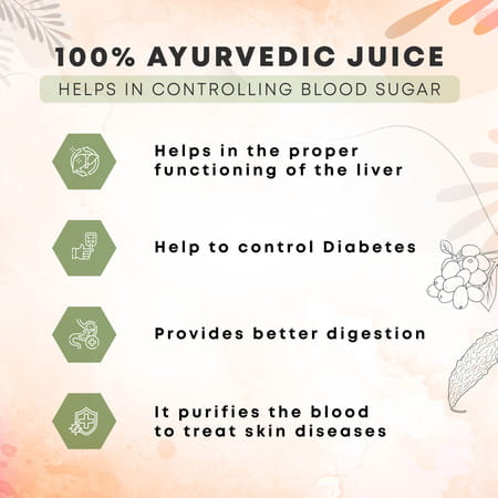 Four Seasons Karela Jamun Juice 500Ml | Helps Control Blood Sugar Levels & Cholesterol