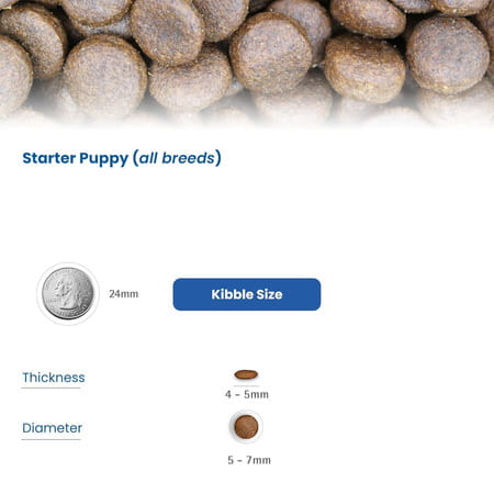 Farmina N&D Pumpkin Starter Puppy Dog Food | Chicken | Pumpkin & Pomegranate | 0.8kg