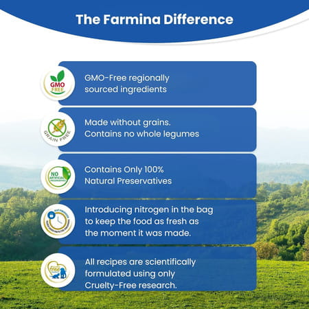 Farmina N&D Pumpkin Starter Puppy Dog Food | Chicken | Pumpkin & Pomegranate | 0.8kg