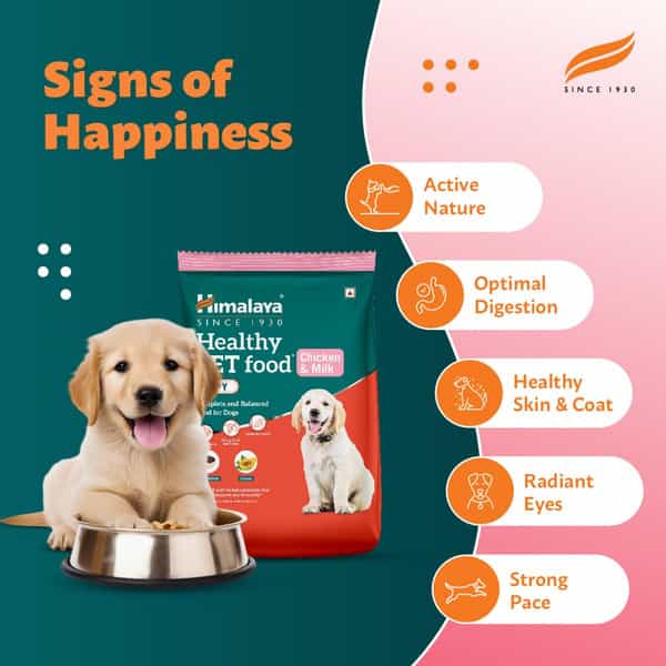 Himalaya Chicken & Milk Healthy Pet Puppy Dry Food 1.2Kg