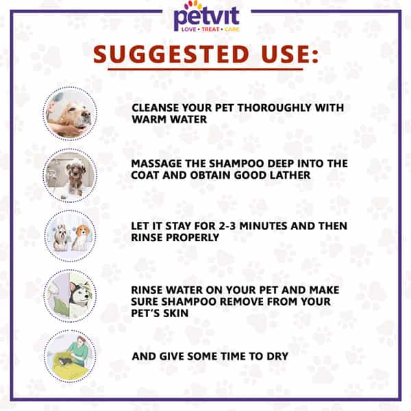 Petvit Detangle & Shine Shampoo With Tulsi Oil & Conditions For All Breed Dog/Cat - 200Ml