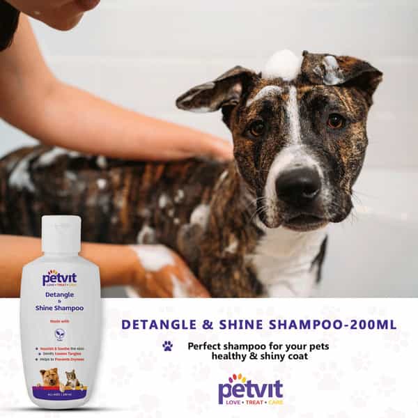 Petvit Detangle & Shine Shampoo With Tulsi Oil & Conditions For All Breed Dog/Cat - 200Ml
