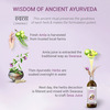 Sesa Ayurvedic Juice For Menopause - Controls Hair Fall & Helps Manage Menopause Smoothly 1L