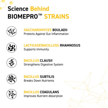 Muscleblaze Biozyme Gold 100 Whey Protein (Monk Fruit Sweetened Chocolate Hazelnut | 1kg With Shaker