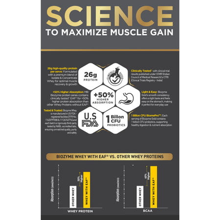 Muscleblaze Biozyme Gold 100 Whey Protein (Monk Fruit Sweetened Chocolate Hazelnut | 1kg With Shaker