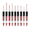 Love Earth Liquid Mousse Lipstick Matte Finish Combo Kit | Waterproof Lipstick Set - (2Ml X 9) 18Ml