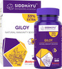 Siddhayu Giloy Tablets Guduchi (By Baidyanath) Immunity Booster 60 + 20 Tablets Free (Pack Of 2)