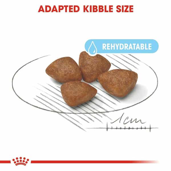 Tailored For Small Breed Mothers & Puppies: Specially Formulated To Meet 10Kg
