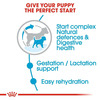 Tailored For Small Breed Mothers & Puppies: Specially Formulated To Meet 10Kg
