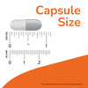 Now Supplements | Cal-Mag With Zinc | Copper | Manganese And Vitamin D | 120 Capsules