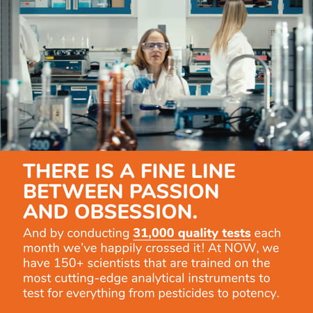 Now Supplements | Cal-Mag With Zinc | Copper | Manganese And Vitamin D | 120 Capsules