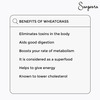 Sangsara Wheatgrass (1X60) Capsules