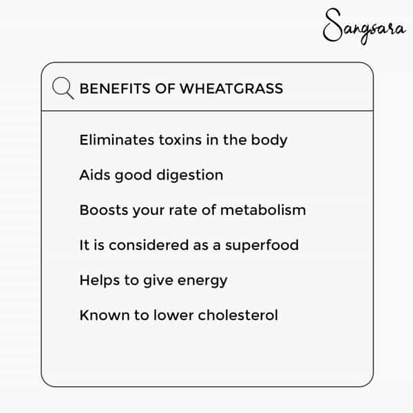 Sangsara Wheatgrass (1X60) Capsules