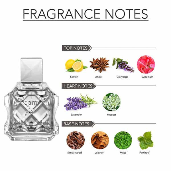 Ajmal Zeal Edp Aquatic Woody Perfume 100Ml For Men & Cento Edp Citrus Aromatic Perfume 100Ml For Men