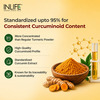 Inlife Turmeric Extract Curcumin C3 Complex (95% Curcuminoids) With Piperine- 60 Veg Caps