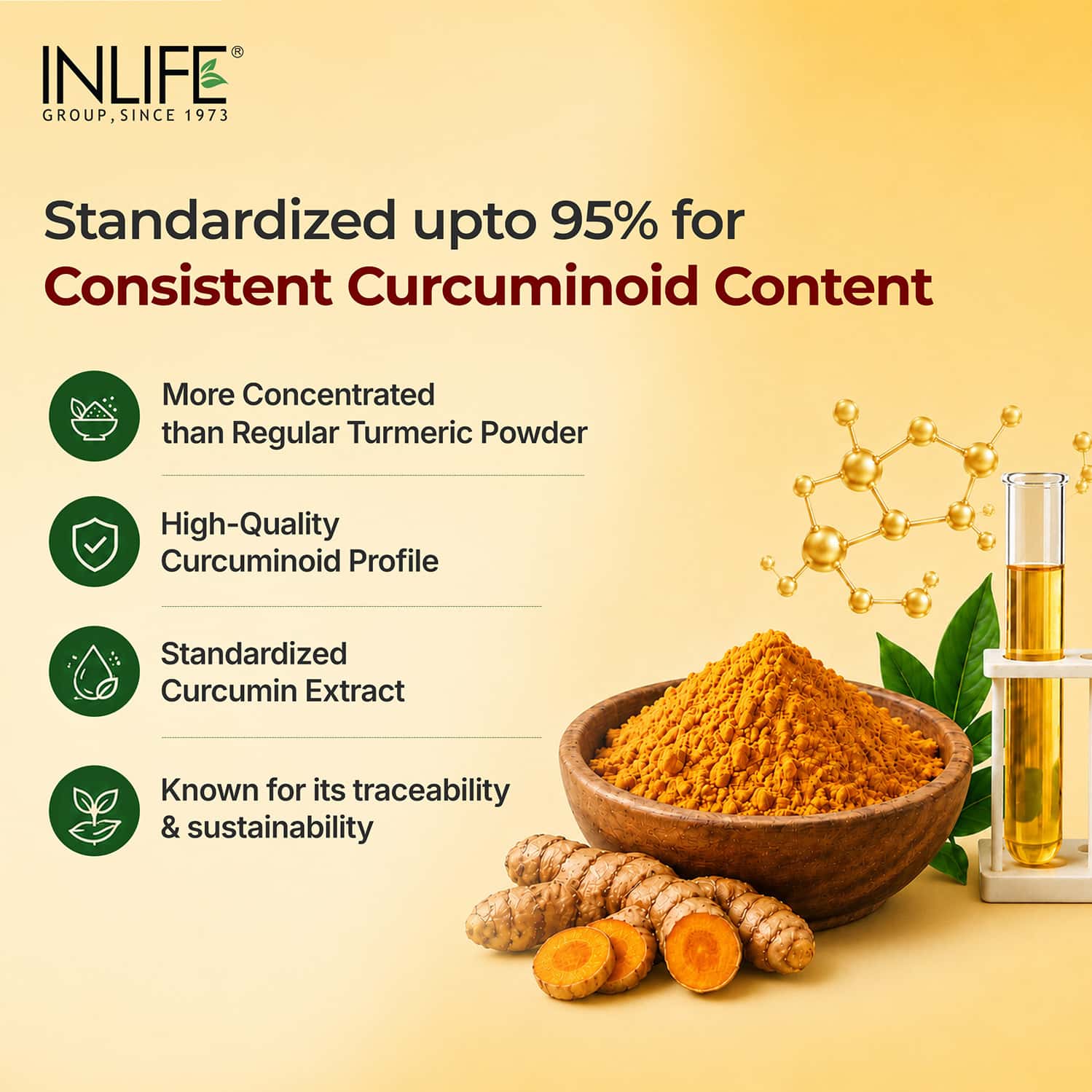 Inlife Turmeric Extract Curcumin C3 Complex (95% Curcuminoids) With Piperine- 60 Veg Caps