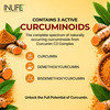 Inlife Turmeric Extract Curcumin C3 Complex (95% Curcuminoids) With Piperine- 60 Veg Caps