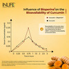 Inlife Turmeric Extract Curcumin C3 Complex (95% Curcuminoids) With Piperine- 60 Veg Caps