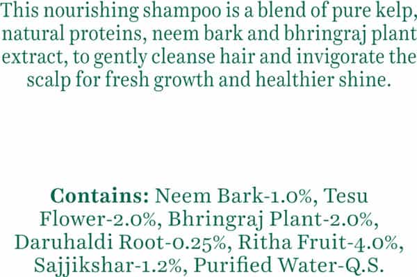 Biotique Ocean Kelp Protein Shampoo Anti Hair Fall Intensive Hair Growth Treatment - 340 Ml
