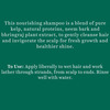 Biotique Ocean Kelp Protein Shampoo Anti Hair Fall Intensive Hair Growth Treatment - 340 Ml