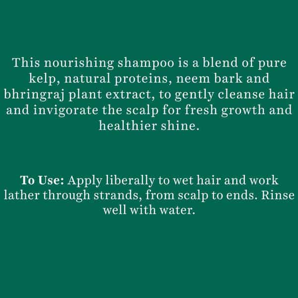 Biotique Ocean Kelp Protein Shampoo Anti Hair Fall Intensive Hair Growth Treatment - 340 Ml