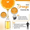 Keya Seth Aromatherapy Skin Defence Orange Body Oil- 100Ml