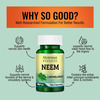 Morpheme Remedies Neem 500Mg Extract - 60 Veg Caps