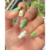 Debelle Gel Nail Polish Gift Set Of 2 Mint Amour | Mystique Green - 16 Ml (8 Ml Each)