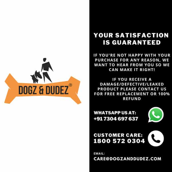 Dogz & Dudez Neem Shield Spray - Tick & Flea Repellent-200Ml