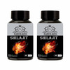 Earth King Shilajit/Shilajeet Capsule For Strength & Stamina - 500mg 60 Capsules (Pack Of 2)
