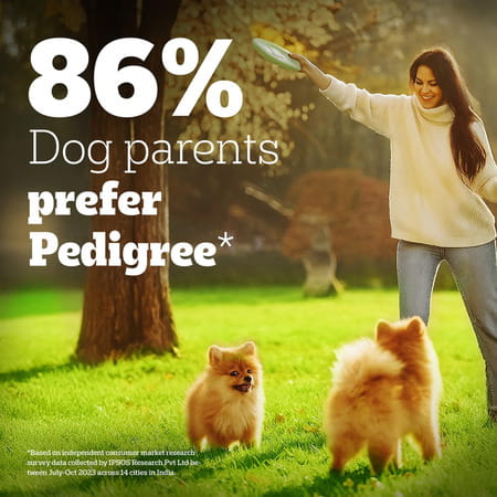 Pedigree Pro Puppy | Large Breed (3-18 Months) Dry Dog Food | 3 Kg Pack | Chicken
