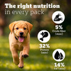 Pedigree Pro Puppy | Large Breed (3-18 Months) Dry Dog Food | 3 Kg Pack | Chicken