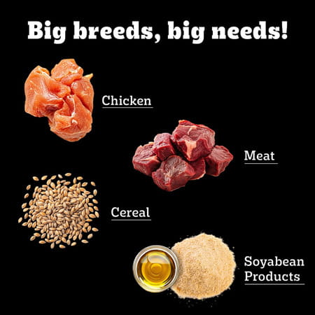 Pedigree Pro Puppy | Large Breed (3-18 Months) Dry Dog Food | 3 Kg Pack | Chicken