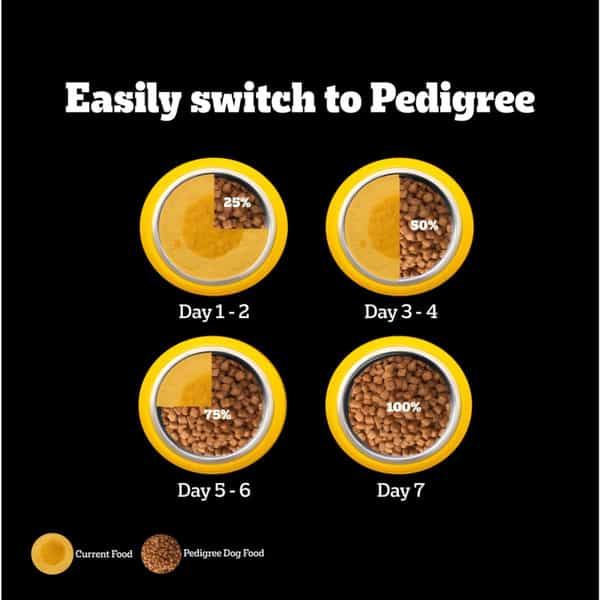 Pedigree Pro Puppy | Large Breed (3-18 Months) Dry Dog Food | 3 Kg Pack | Chicken