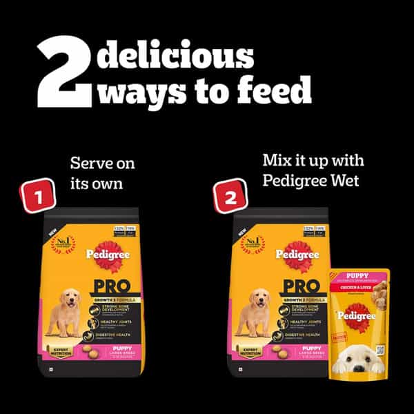 Pedigree Pro Puppy | Large Breed (3-18 Months) Dry Dog Food | 3 Kg Pack | Chicken