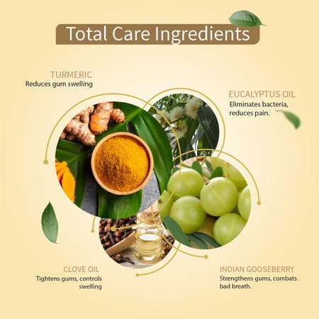 Ayouthveda Total Care 360 Toothpaste 100 Gm