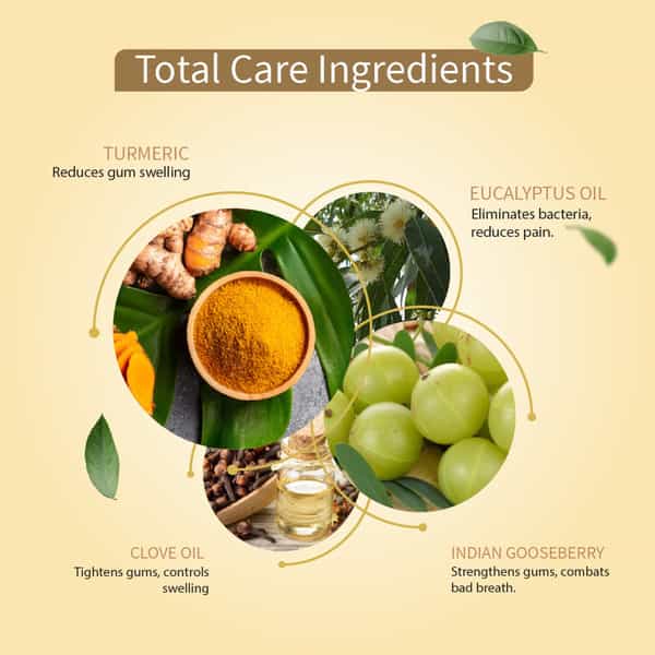 Ayouthveda Total Care 360 Toothpaste 100 Gm