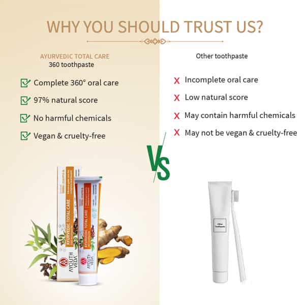 Ayouthveda Total Care 360 Toothpaste 100 Gm