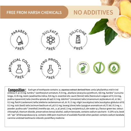 Ayouthveda Total Care 360 Toothpaste 100 Gm