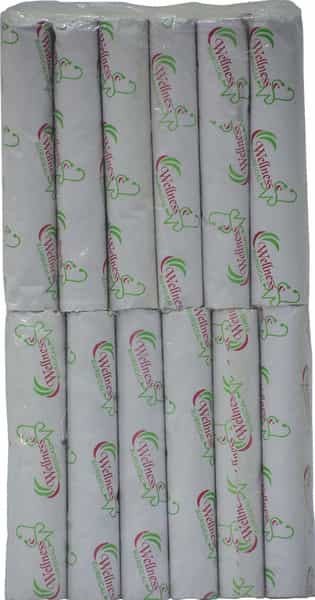 Wellness Surgical Roller Bandage 15 Cm * 3 Mts