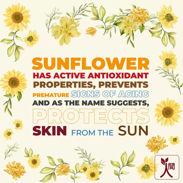 Ningen Sunflower De-Tan Scrub Grapeseed Mulberry & Walnut - 100G