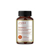Jiva Triphala Tablet 500Mg Improves Digestion Good For Eye & Hair Issues - 120 Tablets (Pack Of 2)