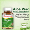 Baidyanath Ayurved Aloe Vera Tablets 60S | Skin & Liver Support