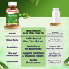 Baidyanath Ayurved Aloe Vera Tablets 60S | Skin & Liver Support