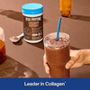 Vital Proteins Collagen Peptides Chocolate Dietary Supplement | 383 G