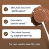 Vital Proteins Collagen Peptides Chocolate Dietary Supplement | 383 G
